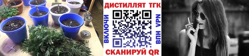 ТГК вейп  Мичуринск 