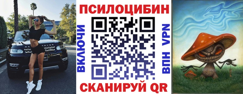 Псилоцибиновые грибы Magic Shrooms  купить наркоту  Мичуринск 